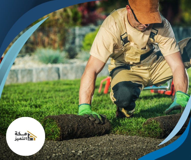 شركة تركيب عشب طبيعي في عجمان 0544060799 ضمان 100%